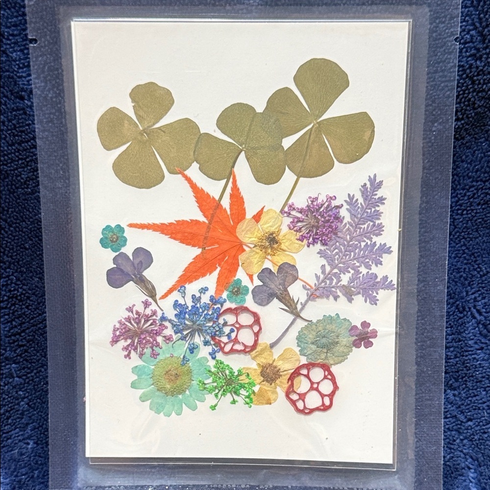 Pressed flowers for crafting